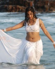 Actress Madhavi Latha Hot Sexy Wet Saree Photos 10