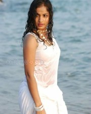 Actress Madhavi Latha Hot Sexy Wet Saree Photos 12
