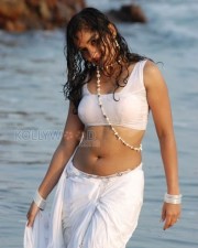 Actress Madhavi Latha Hot Sexy Wet Saree Photos 13