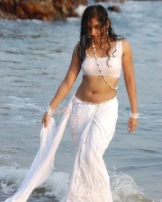 Actress Madhavi Latha Hot Sexy Wet Saree Photos 14
