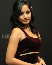 Actress Madhavi Latha Pictures 05