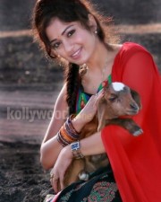 Actress Madhavi Latha Sexy Pics 09