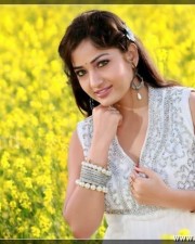 Actress Madhavi Latha Sexy Pics 11