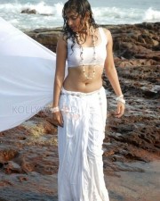 Actress Madhavi Latha Sexy Saree Pictures 06