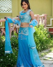 Actress Madhavi Latha Sexy Saree Pictures 12
