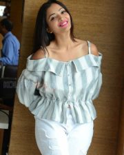 Actress Shweta Basu Prasad Photos 21