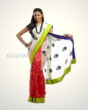 Actress Subhiksha Photos 08