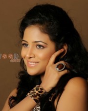 Actress Subhiksha Photos 28
