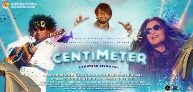 Centimeter Movie First Look Posters 02