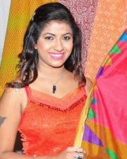 Geetanjali At National Silk Expo Launch Pictures 01