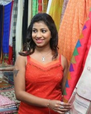 Geetanjali At National Silk Expo Launch Pictures 03