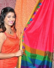 Geetanjali At National Silk Expo Launch Pictures 04