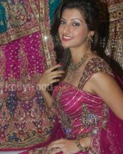 Hamsa Nandini Pictures 01