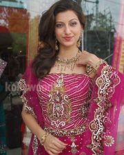 Hamsa Nandini Pictures 03