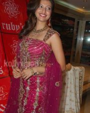 Hamsa Nandini Pictures 06