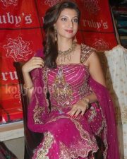 Hamsa Nandini Pictures 08