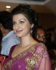 Hamsa Nandini Sexy Saree Pictures 02