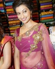 Hamsa Nandini Sexy Saree Pictures 03