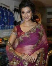 Hamsa Nandini Sexy Saree Pictures 04