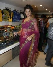 Hamsa Nandini Sexy Saree Pictures 05