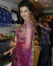Hamsa Nandini Sexy Saree Pictures 06