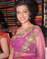 Hamsa Nandini Sexy Saree Pictures 11