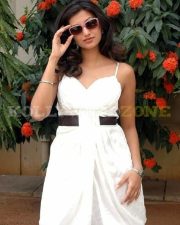 Hamsa Nandini Stills 05