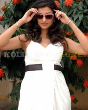 Hamsa Nandini Stills 44