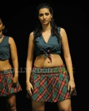 Hamsa Nandini Stills 46