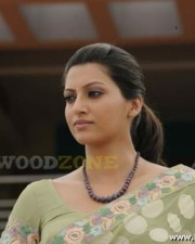 Hamsa Nandini Stills 49