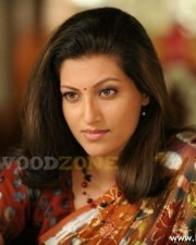 Hamsa Nandini Stills 51