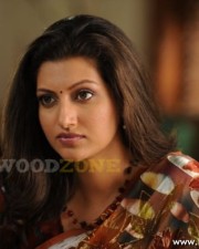Hamsa Nandini Stills 54