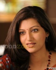 Hamsa Nandini Stills 63