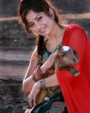 Madhavi Latha Hot Pics 15
