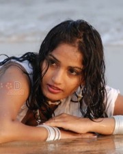 Madhavi Latha Spicy Pictures 03