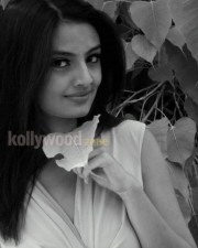 Miss South Indian 2010 Nikitha Narayan Photos 19