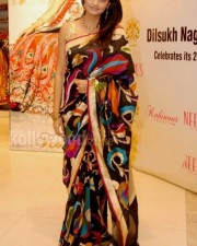 Nikitha Narayan Hot Saree Pictures 09