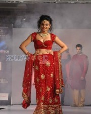 Nikitha Narayan Sexy Fashion Show Photos 03