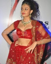 Nikitha Narayan Sexy Fashion Show Photos 14