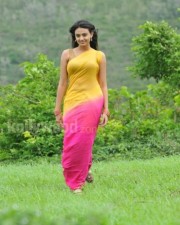 Nikitha Narayanan Its My Love Story Sexy Pictures 04