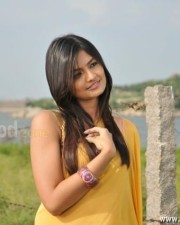 Nikitha Narayanan Its My Love Story Sexy Pictures 12