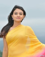 Nikitha Narayanan Its My Love Story Sexy Pictures 29