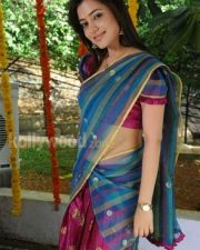 Nisha Agarwal Sexy Half Saree Photos 17