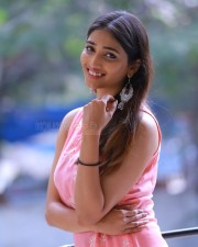 Priya Vadlamani At Shubhalekha Lu Press Meet Pictures 12