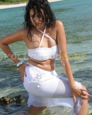 Sexy Hamsa Nandini Pictures 01