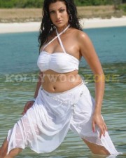 Sexy Hamsa Nandini Pictures 02