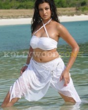 Sexy Hamsa Nandini Pictures 03