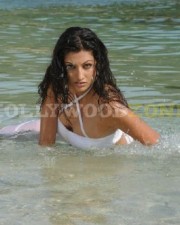 Sexy Hamsa Nandini Pictures 07