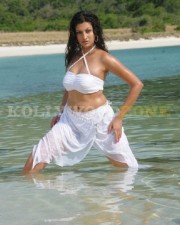Sexy Hamsa Nandini Pictures 08