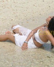 Sexy Hamsa Nandini Pictures 09